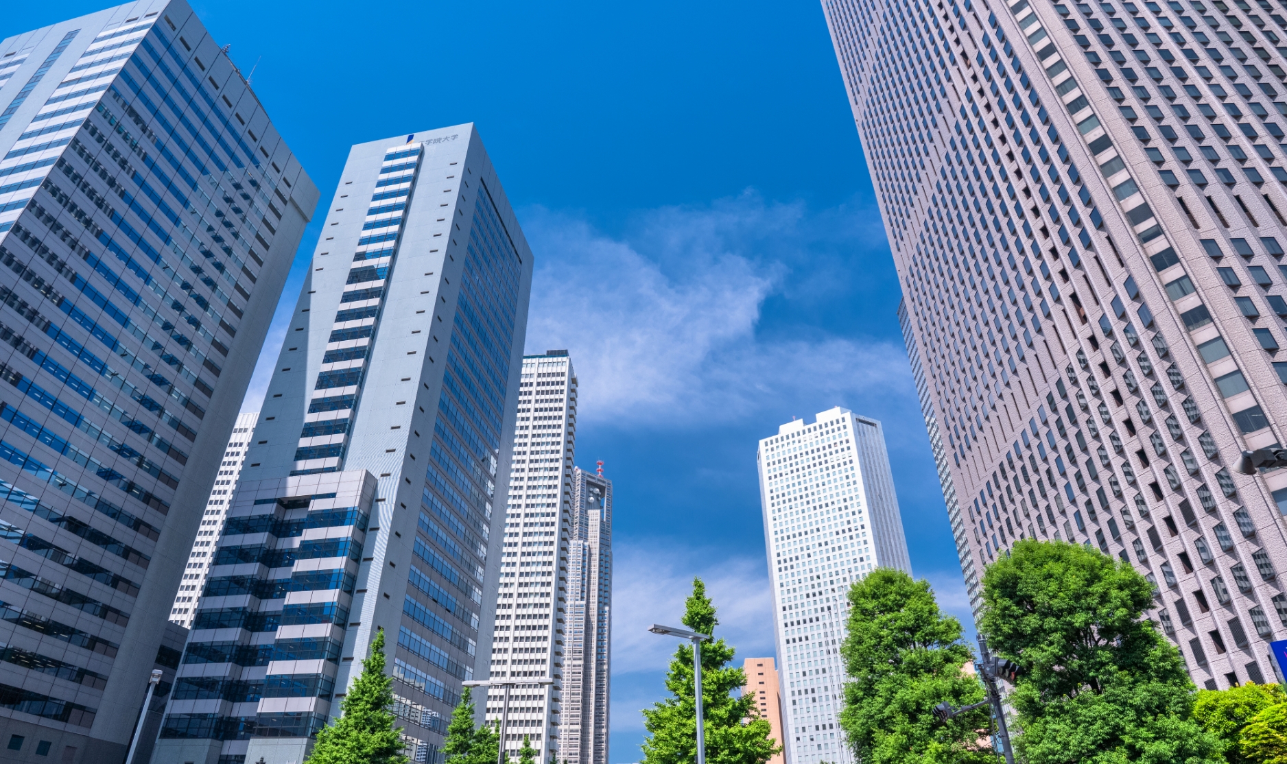 事業内容